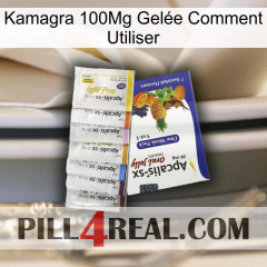 Kamagra 100Mg Gelée Comment Utiliser 11